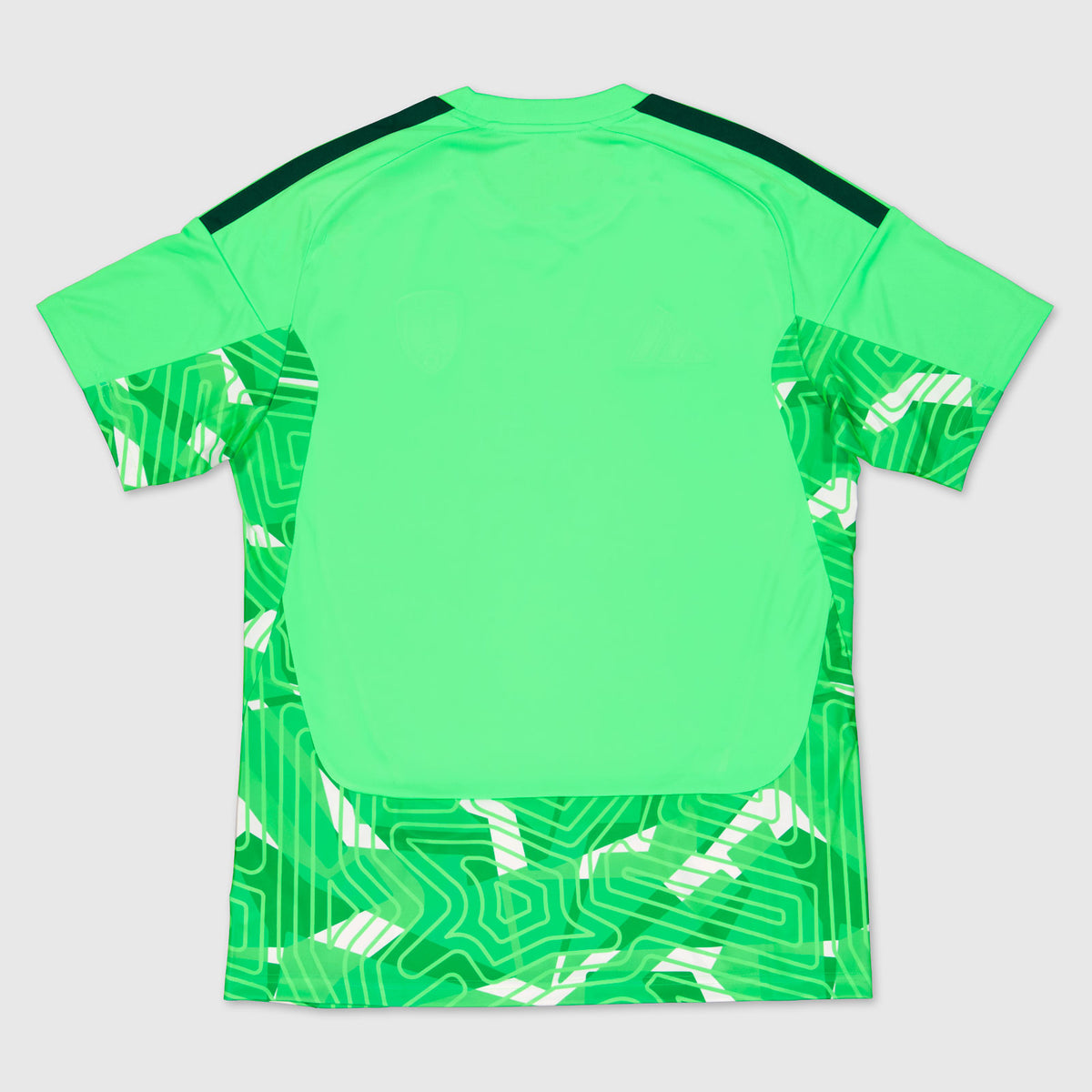 Maillot Gardien Vert Paris FC 26/27