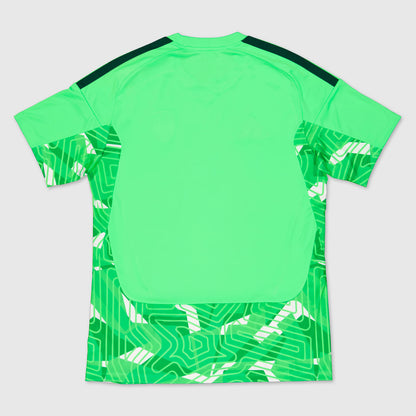 Maillot Gardien Vert Paris FC 26/27